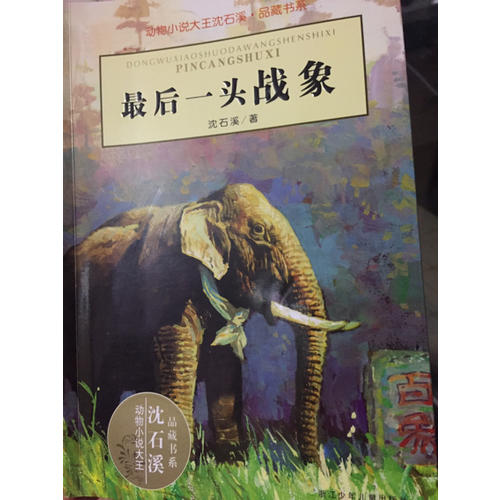 一头战象：动物小说大王沈石溪