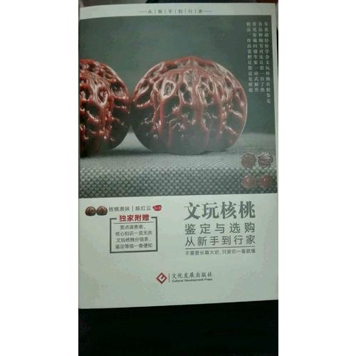 文玩核桃鉴定与选购从新手到行家