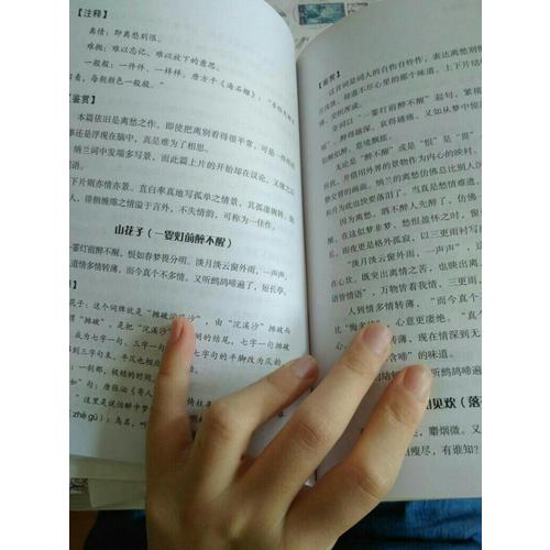 纳兰词全集鉴赏