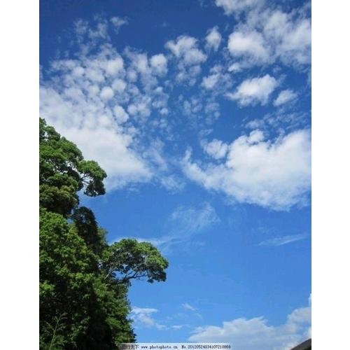 苏东坡词传·人间有味是清欢（浪漫古典行·人物卷）