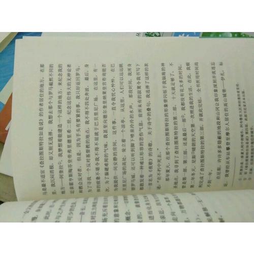 瞧，这个人：尼采自传