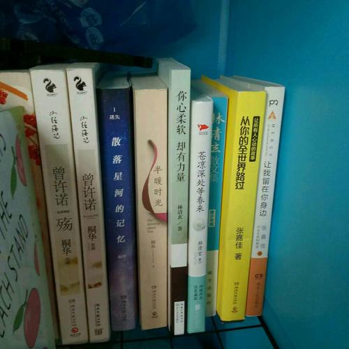 知更鸟女孩套装（全两册）