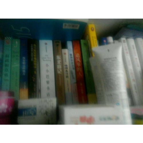 知更鸟女孩套装（全两册）