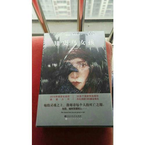 知更鸟女孩套装（全两册）