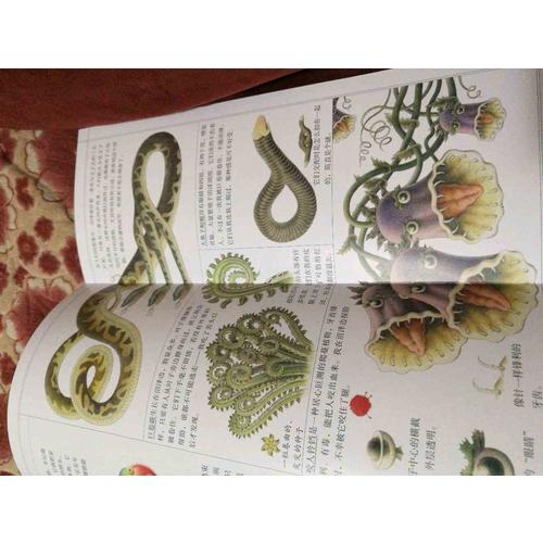 我的艺术系列（共2册）