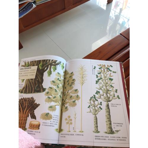 我的艺术系列（共2册）