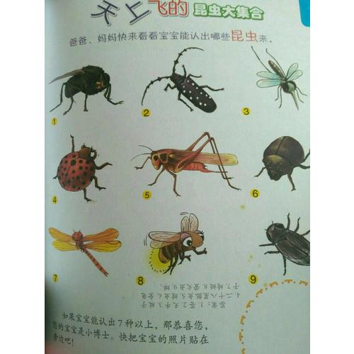 幼儿版十万个为什么（全彩注音版·共8册）