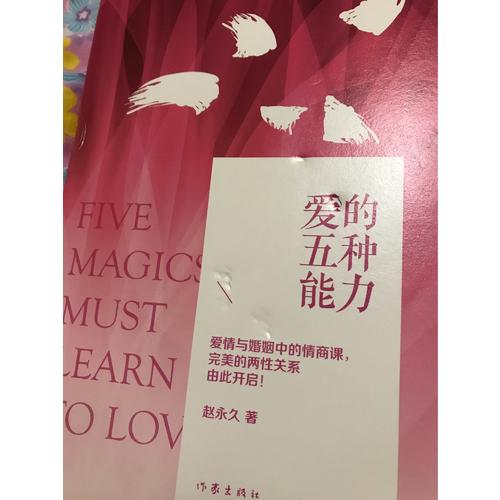 爱的五种能力（精装）