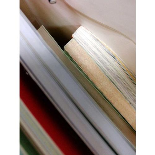 多湖辉新头脑开发丛书：推理 6岁