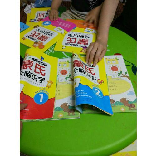 爱德少儿：蒙氏全脑识字（全6册）