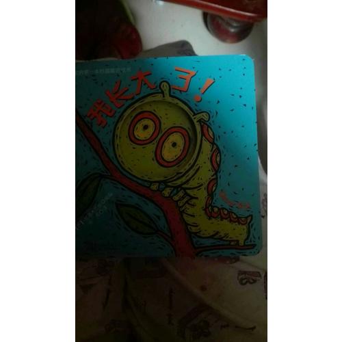 宝宝的及时本躲猫猫游戏书：猜猜动物园