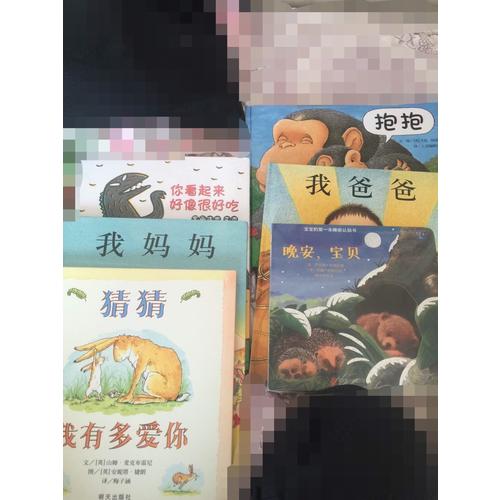 宝宝的及时本躲猫猫游戏书：猜猜动物园