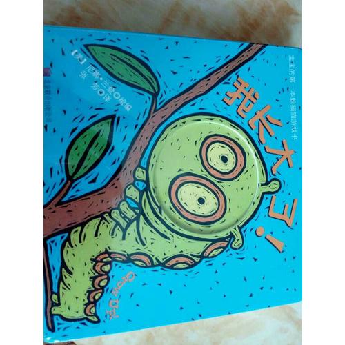 宝宝的及时本躲猫猫游戏书：我长大了