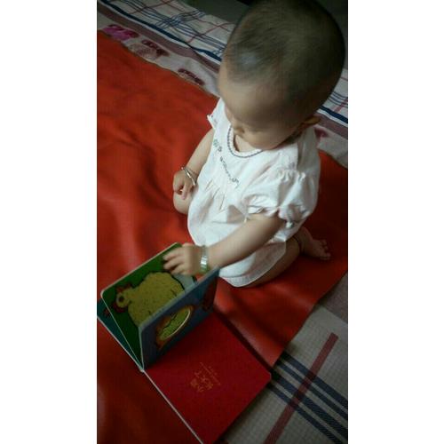 宝宝的及时本躲猫猫游戏书：我长大了