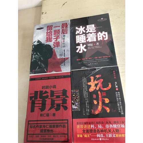背景 时政小说