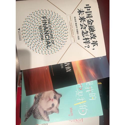 中国金融改革，未来会怎样？