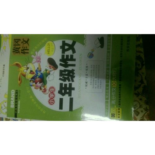 小学生二年级作文