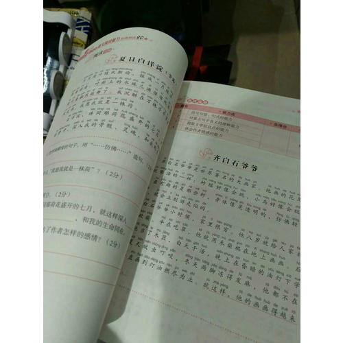 小学生语文阅读能力阶梯测试80篇·二年级