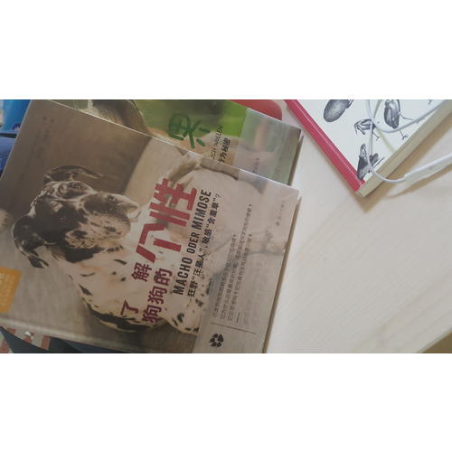 了解狗狗的个性：狂野汪星人，敏感含羞草