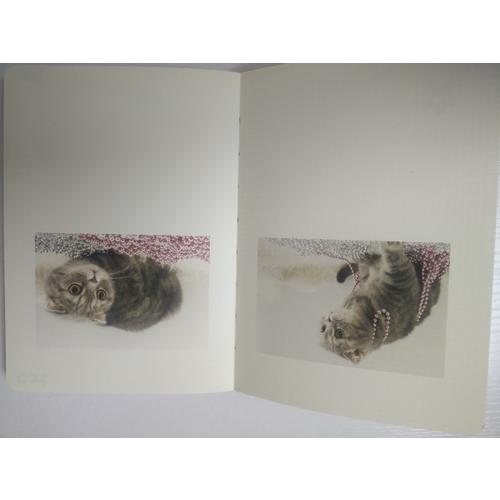 你是我的独家记忆：猫咪专属手账