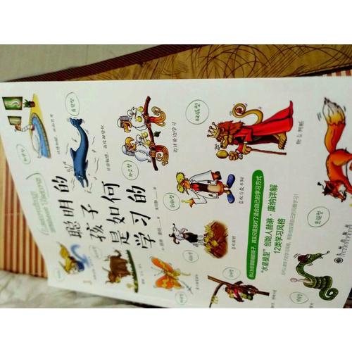 聪明的孩子是如何学习的