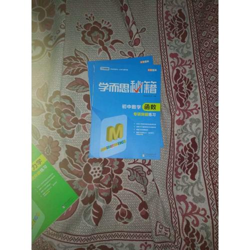 学而思秘籍：初中数学函数专项突破练习  中学教辅