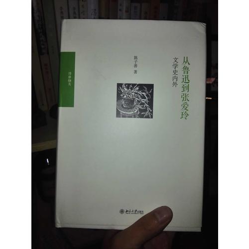 从鲁迅到张爱玲：文学史内外
