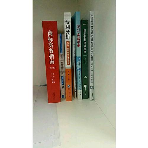 商标实务指南（第二版）