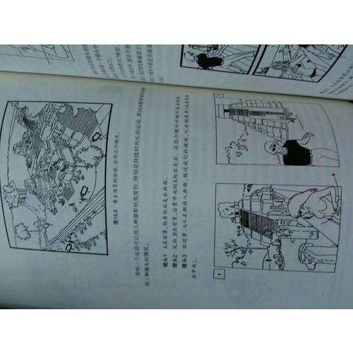 电影语言的语法：插图修订版