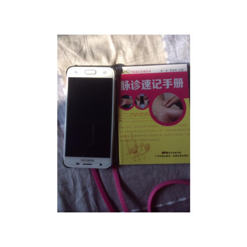 脉诊速记手册（中医速记手册丛书）