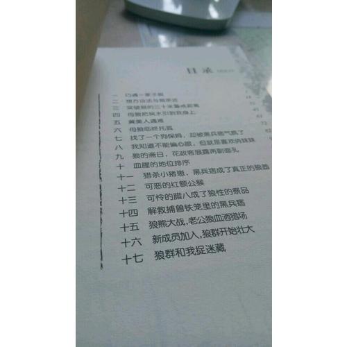 动物小说大王沈石溪·品藏书系：五只小狼