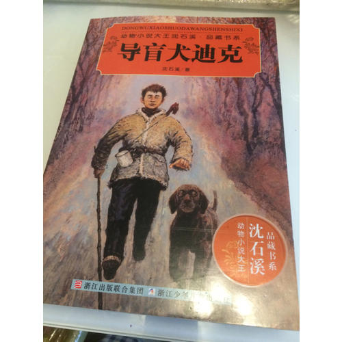 动物小说大王沈石溪·品藏书系：导盲犬迪克