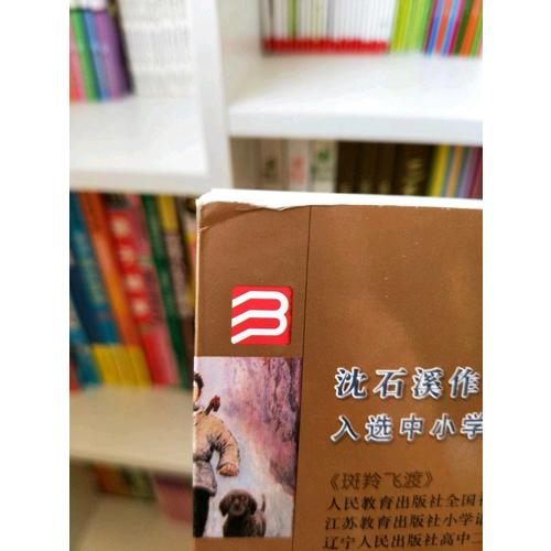 动物小说大王沈石溪·品藏书系：导盲犬迪克