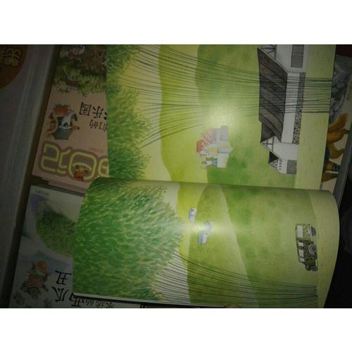 亲爱的笨笨猪系列（6册套装）