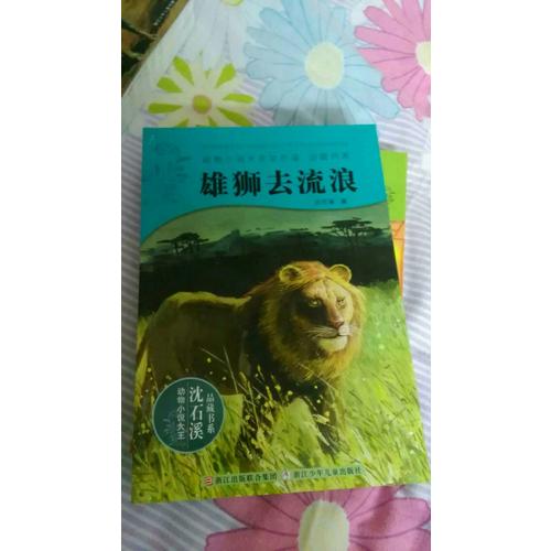 动物小说大王沈石溪·品藏书系：雄狮去流浪
