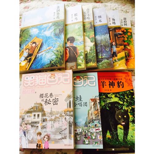 动物小说大王沈石溪品藏书系:牧羊神豹