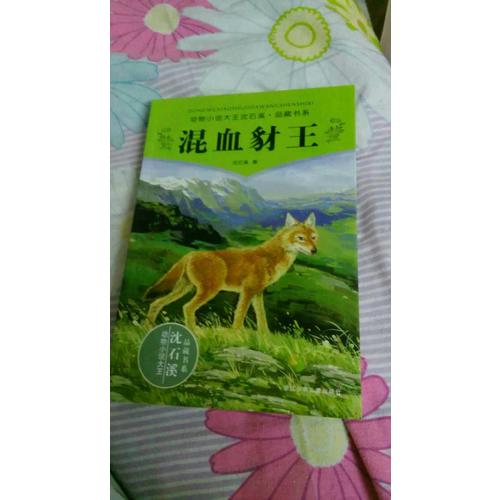 动物小说大王沈石溪品藏书系 混血豺王