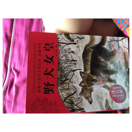 动物小说大王沈石溪.品藏书系：野犬女皇