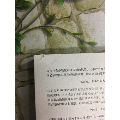 事故共和国：残疾的工人、贫穷的寡妇与美国法的重构