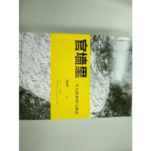 官墙里：一个人的乡村与都市