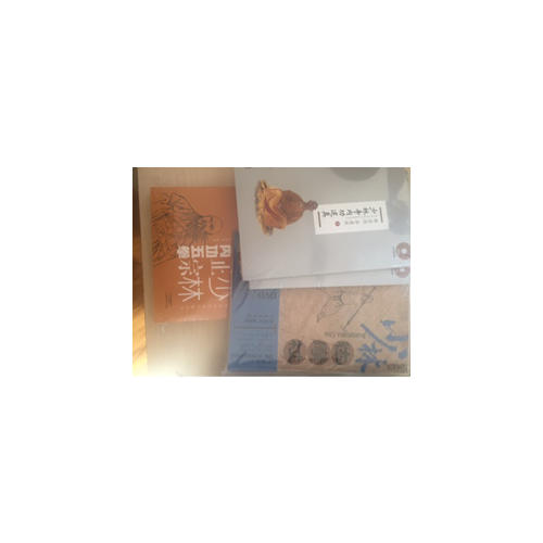 少林正宗内功五拳