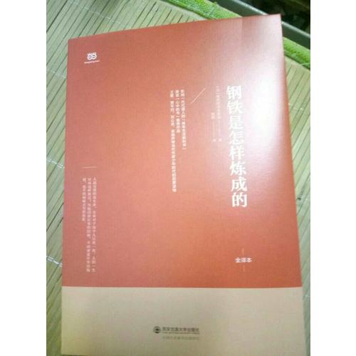 钢铁是怎样炼成的