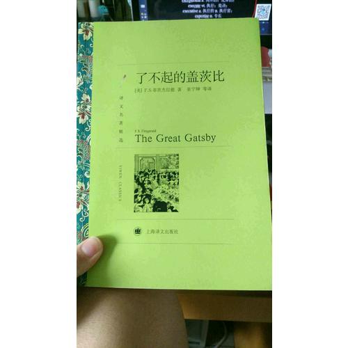 了不起的盖茨比(译文名著精选)