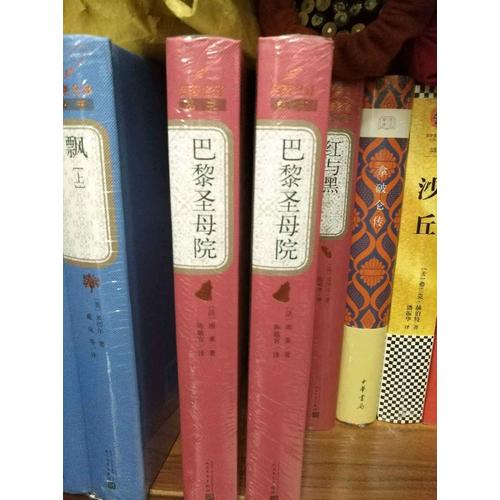 巴黎圣母院（精装版）