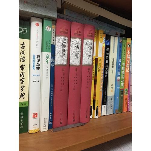 巴黎圣母院（精装版）