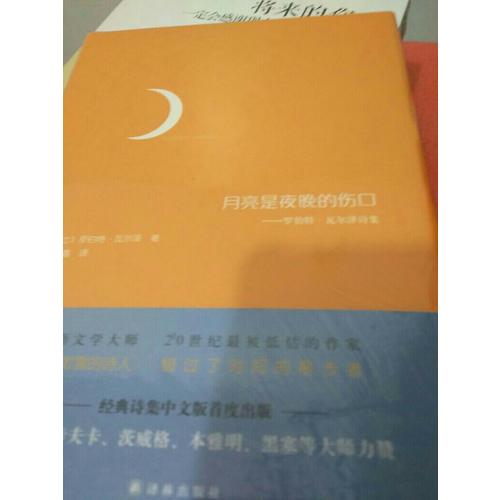 月亮是夜晚的伤口