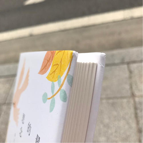 最漫长的思念：泰戈尔经典诗选（精装典藏）