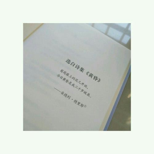 我的夜晚是对你的狂想：阿赫玛托娃诗选