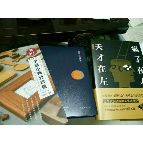 手作系列（微木工+爱皮革）（共2册）