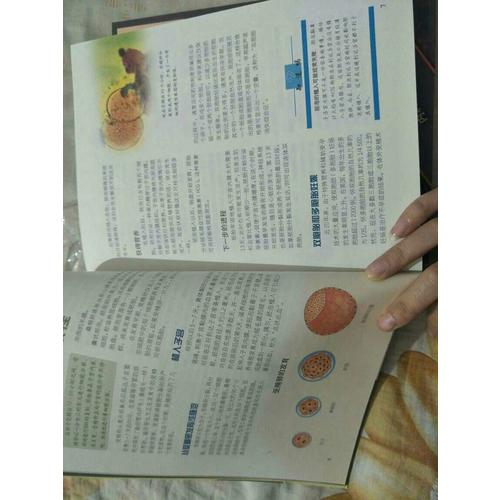 怀孕圣经+育儿圣经促销套装